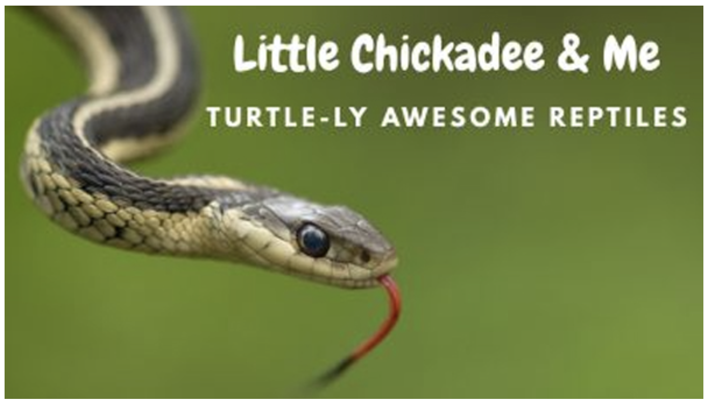 Thread image